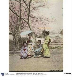Vier Mädchen unter Kirschblüten