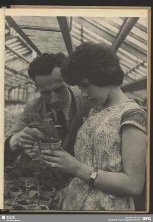 Botanische Lehrstunde