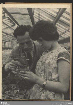 Botanische Lehrstunde