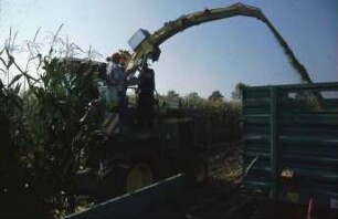 Fotografie: Ernteverfahren, Feldhäcksler selbstfahrend, Maissilage, Parallelverfahren, Ertragsmessung, Feldtest