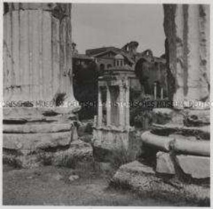 Rom, Forum Romanum, Tempel der Vesta