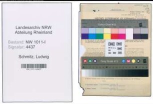 Entnazifizierung Ludwig Schmitz , geb. 31.07.1904 (Unterbrandmeister)