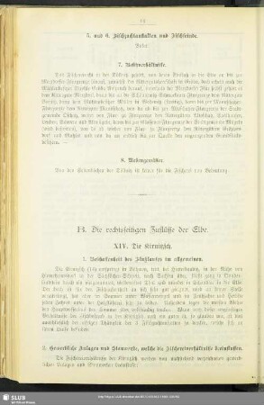 B. Die rechtsseitigen Zuflüsse der Elbe