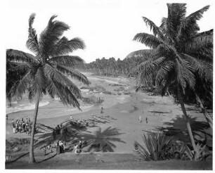 Strand bei Dehiwala-Mount Lavinia : Weltreisen. Sri Lanka. Strand bei Dehiwala-Mount Lavinia