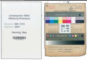 Entnazifizierung Max Henning , geb. 02.11.1899 (Landwirt)