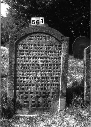 Grabstein 561