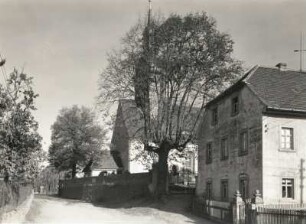 Nossen-Ziegenhain. Blick zur Kirche mit Linde