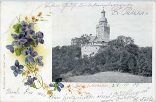 Ansichtskarte: Burg Falkenstein