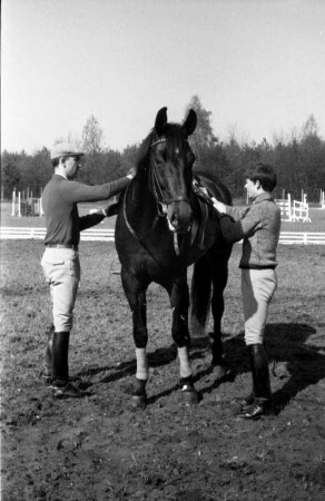 Warendorf, Freiherr-von-Langen-Straße 13. Reitsportanlage des Deutschen Olympia-Komitees für Reiterei. Reitplatz auf Rasen. Ein Pferd wird gesattelt