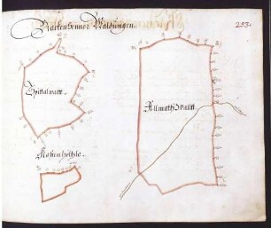 Kleingartacher Hut: Brackenheimer Spitalwald, Allmathswald und Kastenhölzle