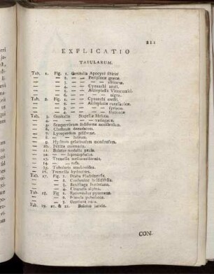 Explicatio