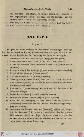 Tafel XXI - XXV