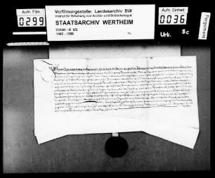 Hans Albrecht von der Haubin bekennt, dass ihm Graf Wolfgang zu (Lewenstain) Löwenstein, Herr zu Scharfeneck, benannte Zehnten zu Uelversheim (?, Ulffershaim) bei Alzey zu Mannlehen verliehen hat.