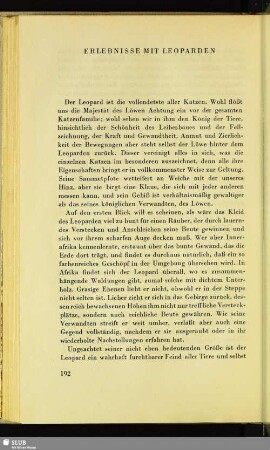 Erlebnisse Mit Leoparden