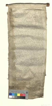 Der Syndikus des Zisterzienserordens in der Diözese Brandenburg, Thomas Slepko, transsumiert die Urkunde von 1399 November 15 samt der inserierten Urkunde von 1351 Februar 4 (s. dort).