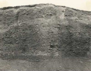 Kammerbühl (Komorní hůrka) bei Franzensbad. Vulkanische Aschenwand des Schichtvulkans mit Einschlüssen
