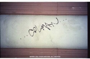 CoLMAN