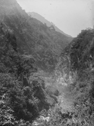 Schlucht : Blick auf eine Schlucht im Ruwenzori-Gebirge