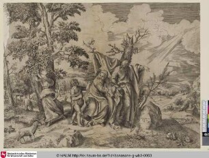 [La Vierge se reposant à l'ombre d'un arbre, et tenant l'enfant Jésus entre ses bras, au milieu de St. Joseph qui s'appuye de la main gauche sur un bâton, et de St. Jean Baptiste qui lui apporte des fruits qu'un ange à gauche cueille d'un grand arbre; Die Heilige Familie mit dem Johannesknaben in einer Landschaft]