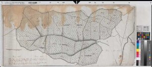 Balve (Balve) Balver Wald Teilungskarte um 1770 (1 : 4000) 48 x 105 kol. Zeichnung Landsberg-Velen Nr. 535