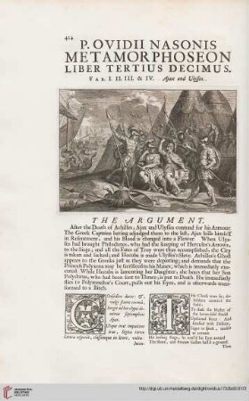 Liber tertius decimus