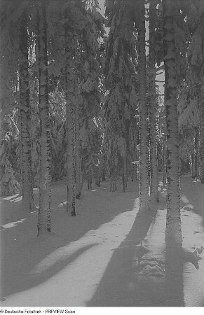 Kahleberg im Winter