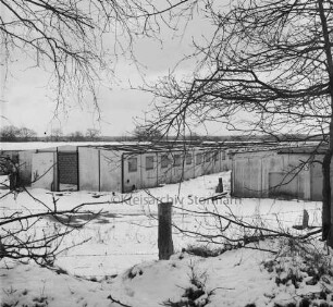 Heinrichshof, Gut: stillgelegte Schweinemastanlage: Blick auf die ehemaligen Schweinställe: vorn Böschung mit Stacheldrahtzaun und Sträucher: Winter