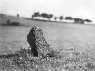 Steinkreuz : Narsdorf (Narsdorf-Rathendorf). Steinkreuz mit flachem Kopf und abgeschlagenen Armen auf einer Wiese östlich des Dorfes