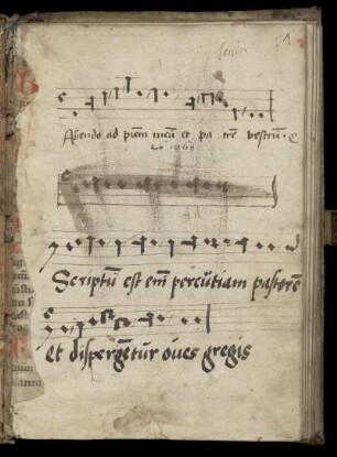Nachträge (16. Jh.): Antiphonen