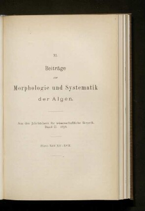 XI. Beiträge zur Morphologie und Systematik der Algen