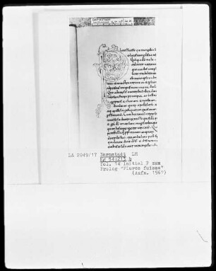 Evangeliar, angeblich aus Sankt Andreas zu Köln — Initiale P(lures fuisse), Folio 14recto