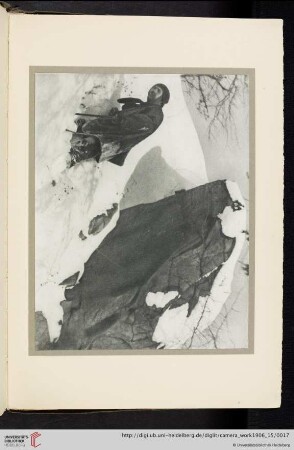 [Alvin Langdon Coburn, III. After the Blizzard, photogravure from original negative]