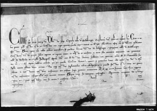 Clemens V. bestätigt dem Stift Sindelfingen die Schenkung, die ihm (im Jahr 1277) Propst Heinrich von Hailfingen mit der Kirche in Dulcheshausen und ihrer Filialkapelle in Leonberg gemacht hat.