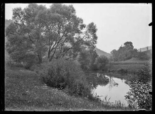 Blick durch Bäume auf Fluss (evtl. Tauber)
