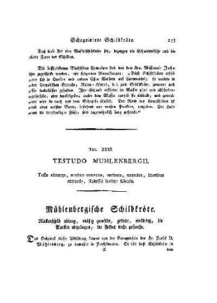 Tab. XXXI. Testudo Muhlenbergii : Mühlenbergische Schildkröte