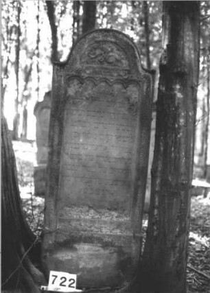 Grabstein 722 (Index: 99900450) Material: Sandstein Zustand: oben und unten völlig, in der Mitte leicht verwittert Maße HxBxT: 160x57x14 cm Beschreibung: Stele mit Konvexbogenabschluss, umlaufender Rahmen mit Zackenfries, im Bogenfeld Blatt- und Blütenornamente, Inschrift oben durch Rundbogenfries begrenzt Symbolik: Blätter, Blüten, Zackenfries, Rundbogenfries: Grabstein 722