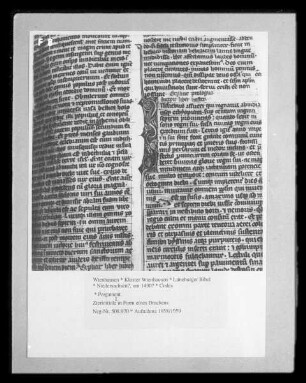 Lüneburger Bibel — Zierinitiale in Form eines Drachens