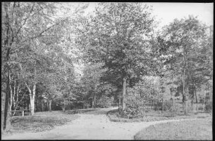 Dresden. Garnisonslazarett - Park bei Pavillon III