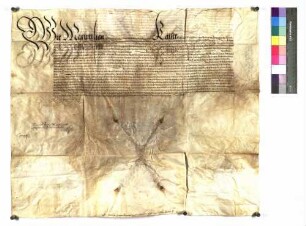 Kaiser Maximilians II. Bestätigung der Privilegien und Freiheiten des Stifts Comburg