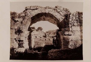 2638 Siracusa. Anfiteatro