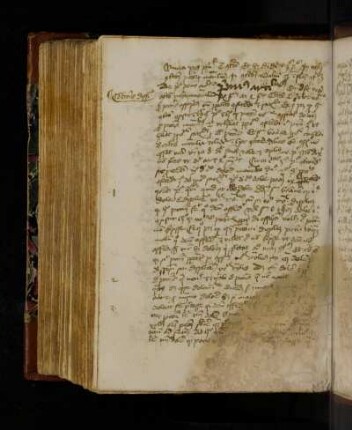 Primus articulus