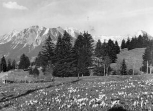 Frühling im Allgäu