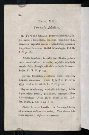 84-89, Tab. XII. Tortula subulata.