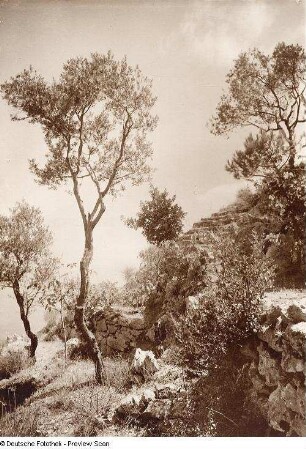 Mauerrest bei Anacapri