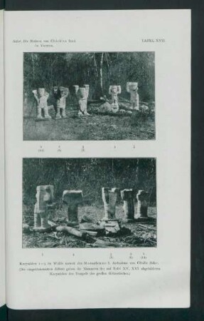 Tafel XVII.: Karyatiden 1-5 im Walde unweit des Mausoleums I. : Aufnahme von Cäcilie Seler.