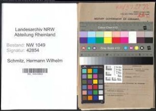 Entnazifizierung Hermann Wilhelm Schmitz , geb. 28.05.1893 (Vertreter)