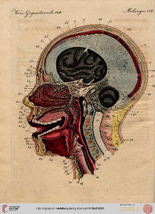 B.VIII. No. 81 - B.VIII. No. 90