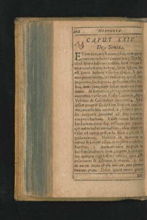 Caput XXIV. De Simia.