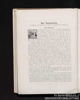 Die Pflanzung.