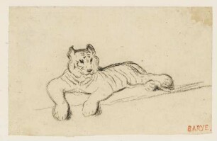 Ruhender Tiger